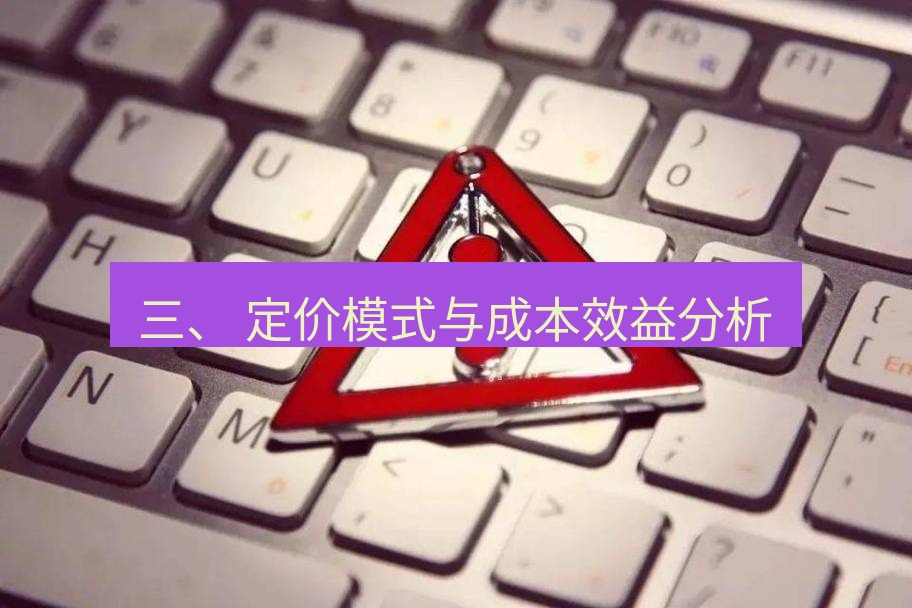 快连VPN 三、 定价模式与成本效益分析